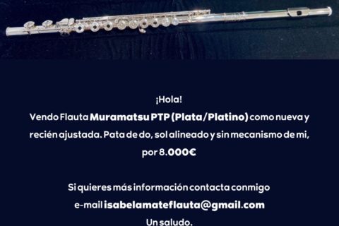 Flauta Travesera Muramatsu PTP