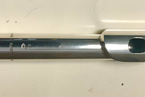 Cabeza Dana Sheridan en plata